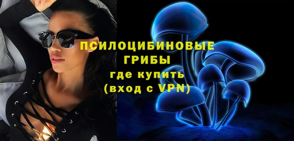 МДПВ Инта