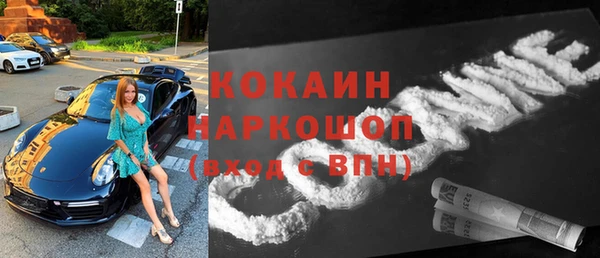 МДПВ Нея