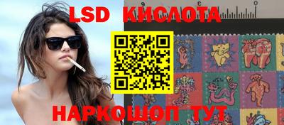 гидропоника Краснодар